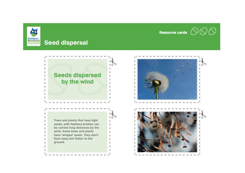 Seed dispersal: resource cards