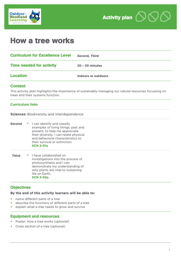 How a tree works – activity plan