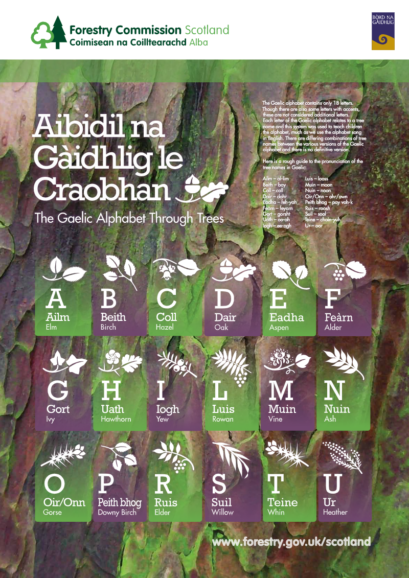 Aibidil na Ghàidhlig le Craobhan: the Gaelic alphabet through trees