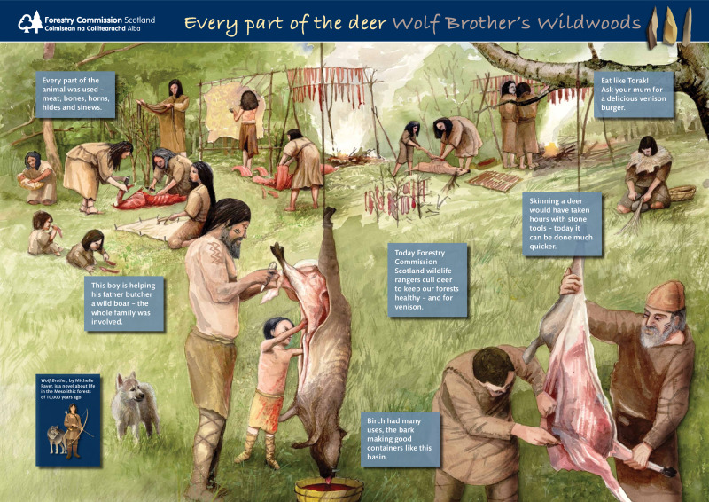 Wolf Brother’s Wildwoods: every part of the deer (poster)