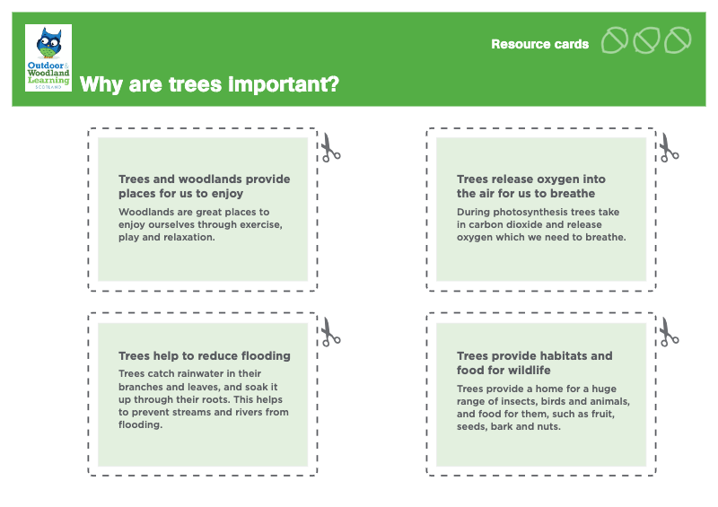 Why are trees important? Resource card
