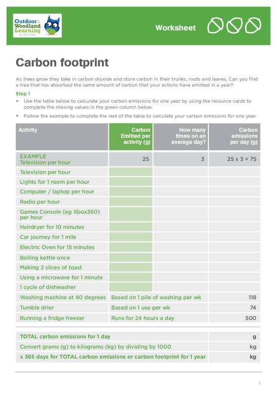 Carbon footprint: worksheet