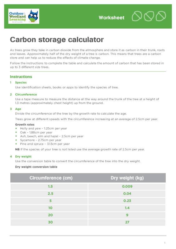 Carbon Storage Calculator: worksheet